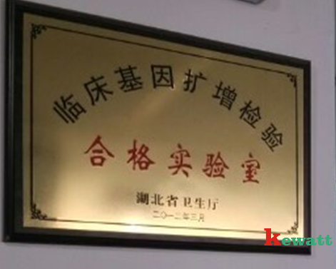 臨床基因擴增實驗室認證資質(zhì)
